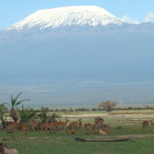 Amboseli National Park