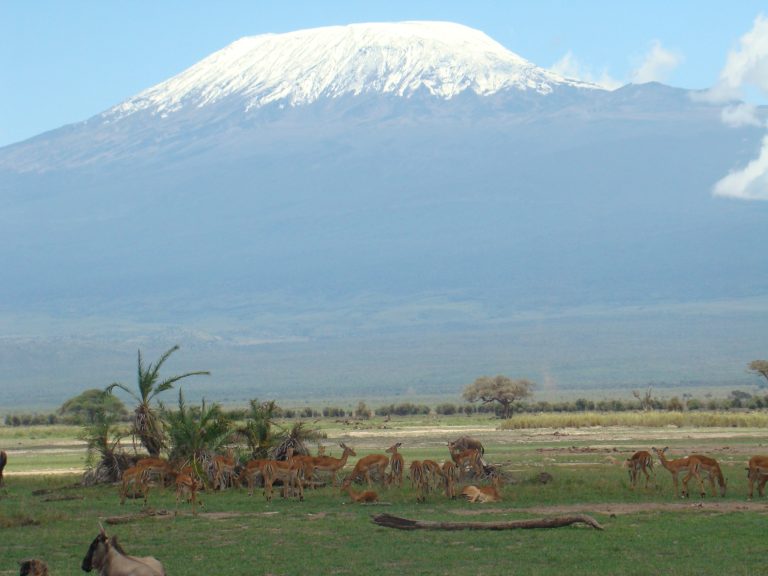 Amboseli National Park