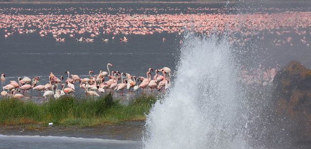 Lake Bogoria National Reserve