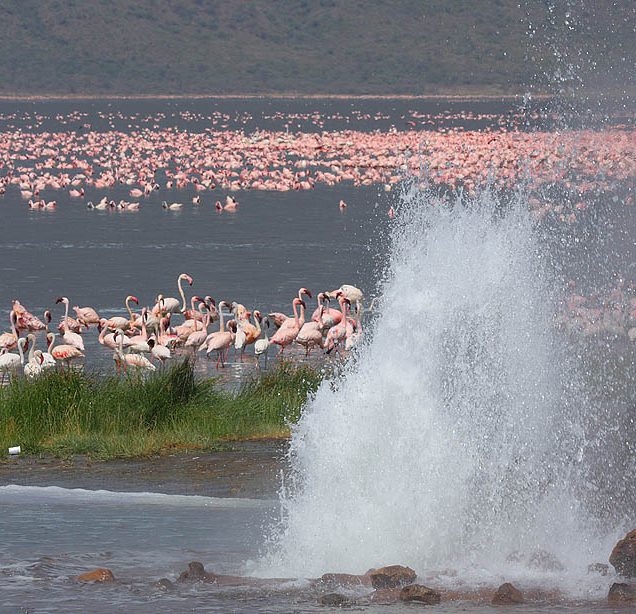 Lake Bogoria National Reserve