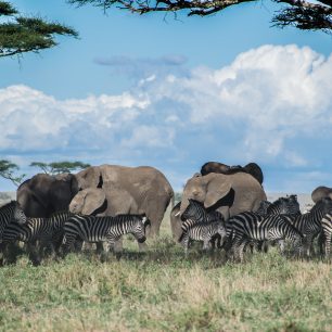 Masai Mara National Reserve