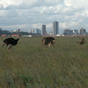 Nairobi National Park