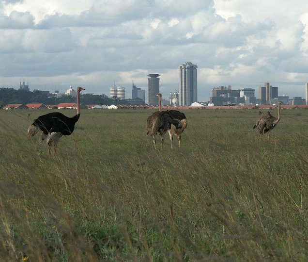 Nairobi National Park