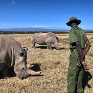 Ol Pejeta Conservancy