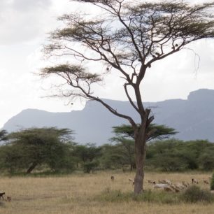 Shaba National Game Reserves