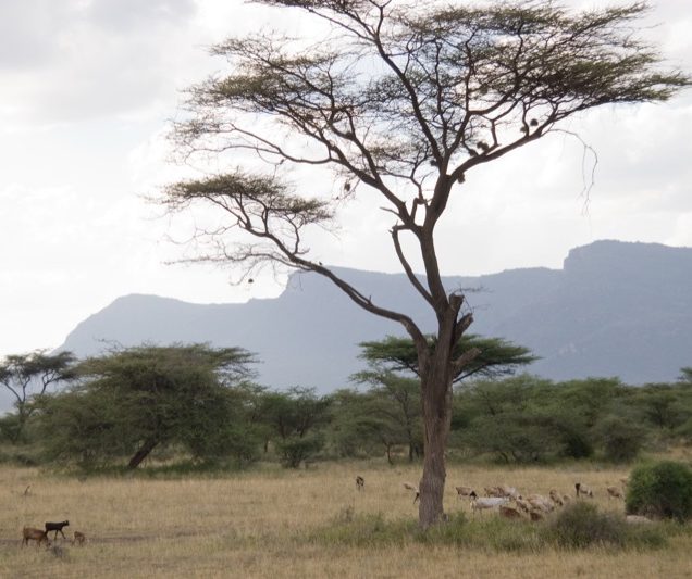 Shaba National Game Reserves