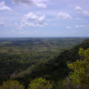 Shimba Hills National Reserve