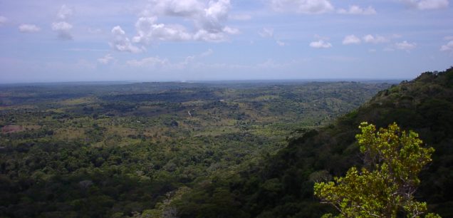 Shimba Hills National Reserve