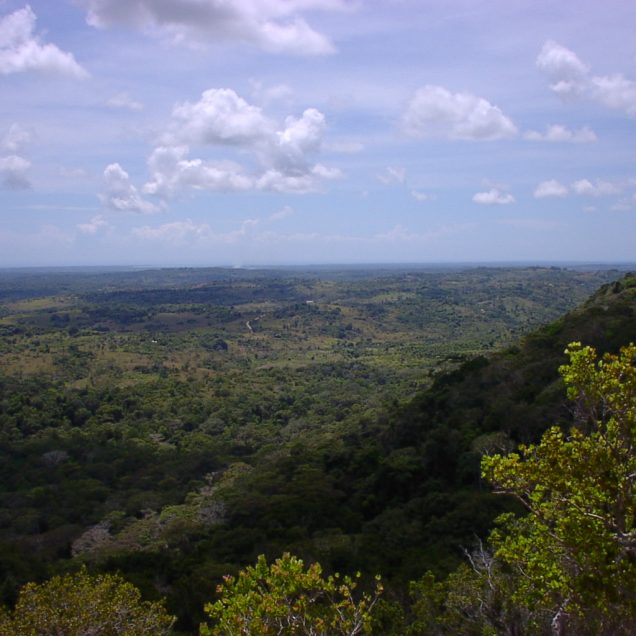 Shimba Hills National Reserve