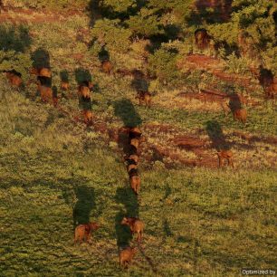 Tsavo West National Park