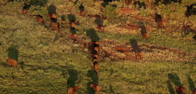 Tsavo West National Park