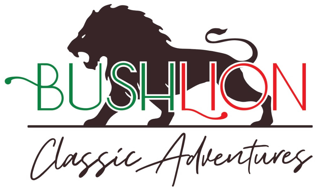 BushLion Classic Adventures