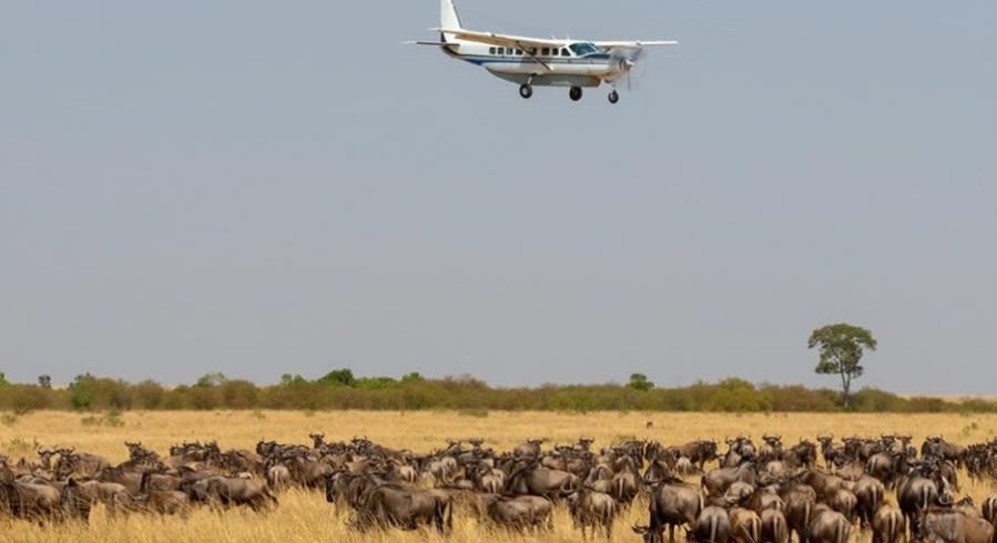 Masai Mara Air Safari