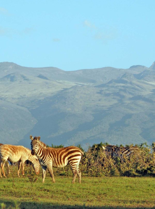 Mount Kenya National Park