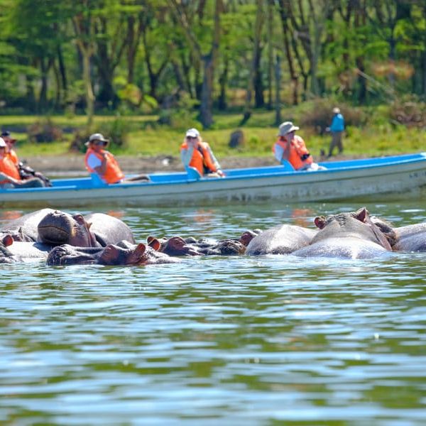 lake-Navasha boat ride