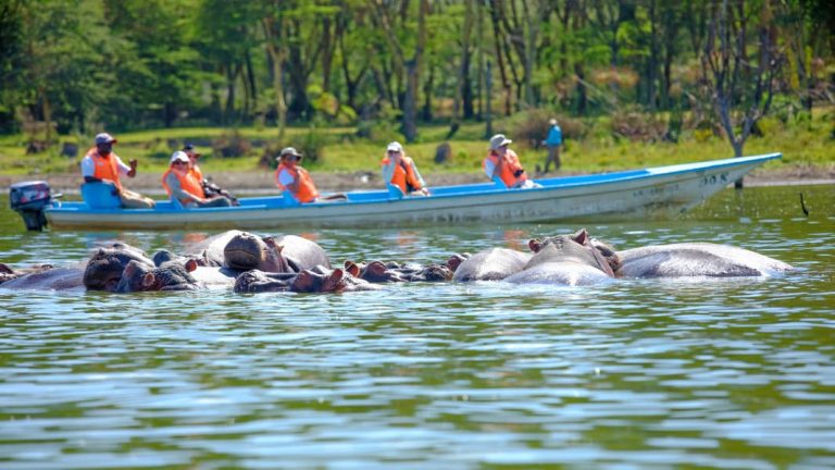 lake-Navasha boat ride