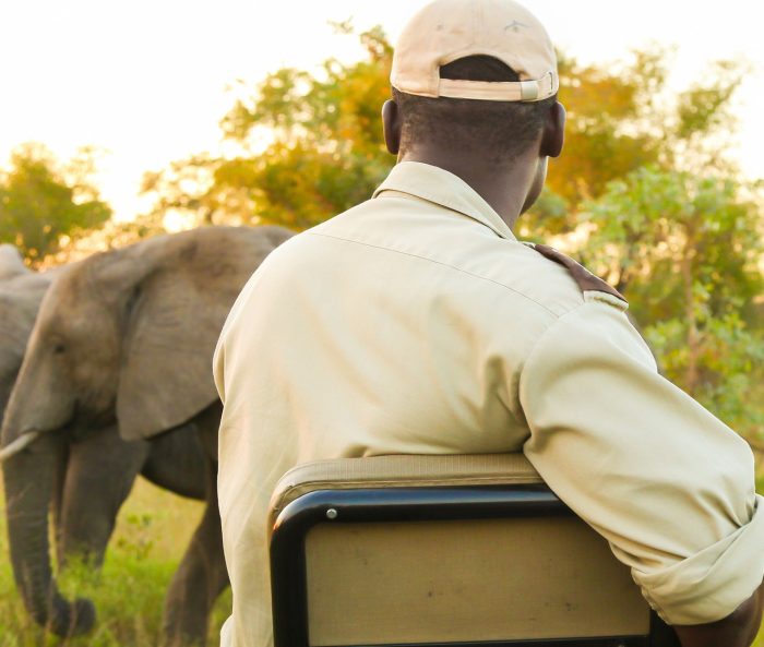 back-view-african-american-male-watching-elephants-safari(1)